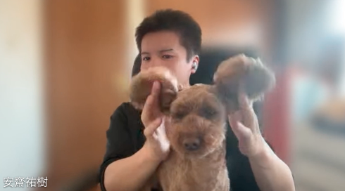 employee_dog_meeting_02_01.png