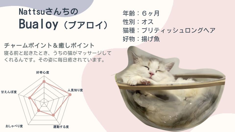 cat_article_02.jpg