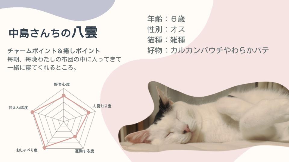 cat_article_04.jpg
