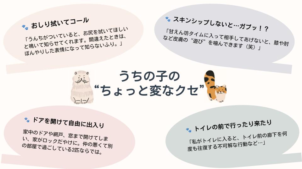 cat_article_07.jpg