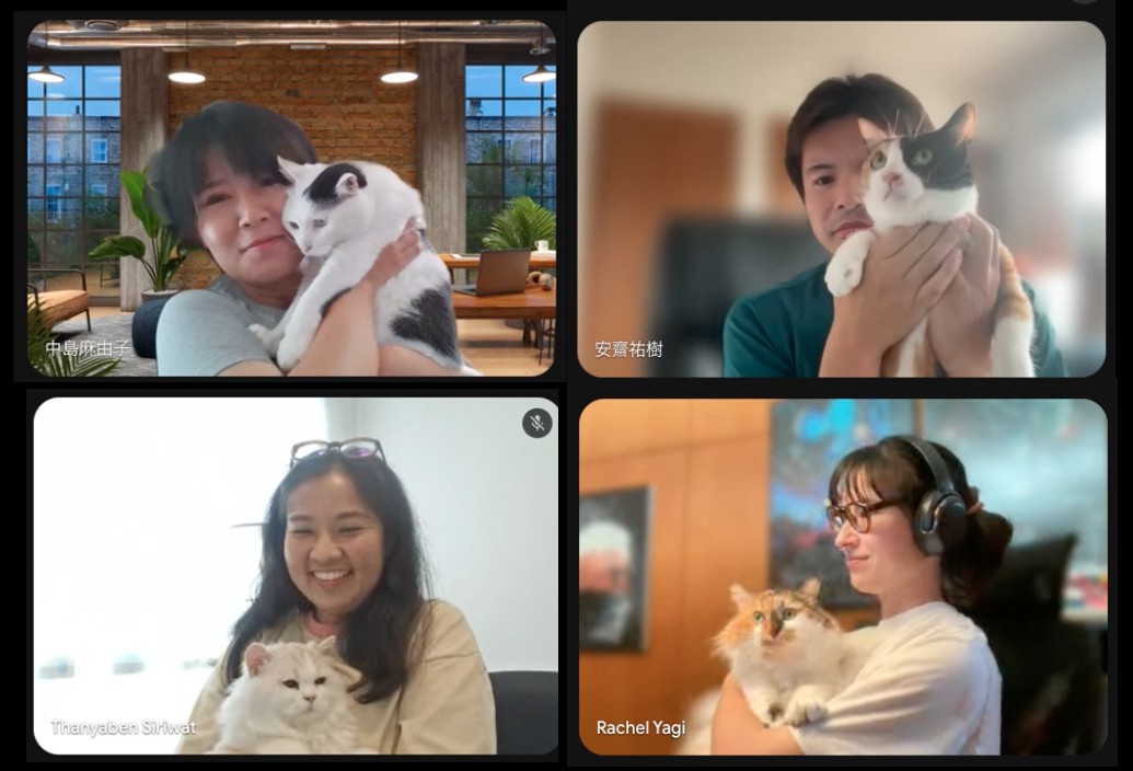 cat_article_08.jpg