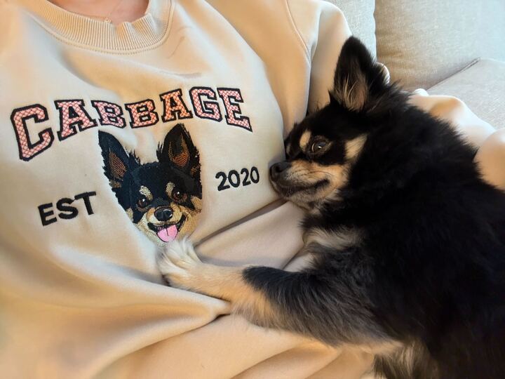 employee_dog_meeting_01_05.jpg