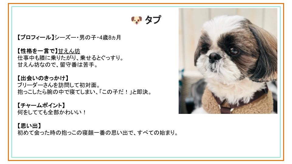 employee_dog_meeting_04.jpg