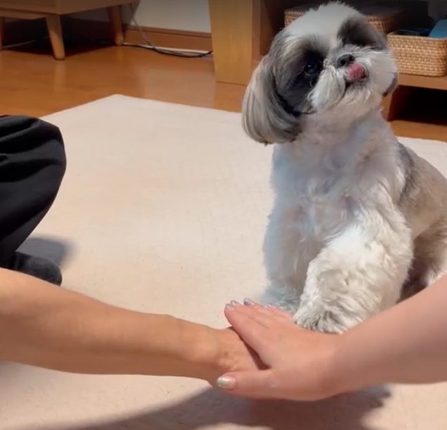 employee_dog_meeting_04_03.png
