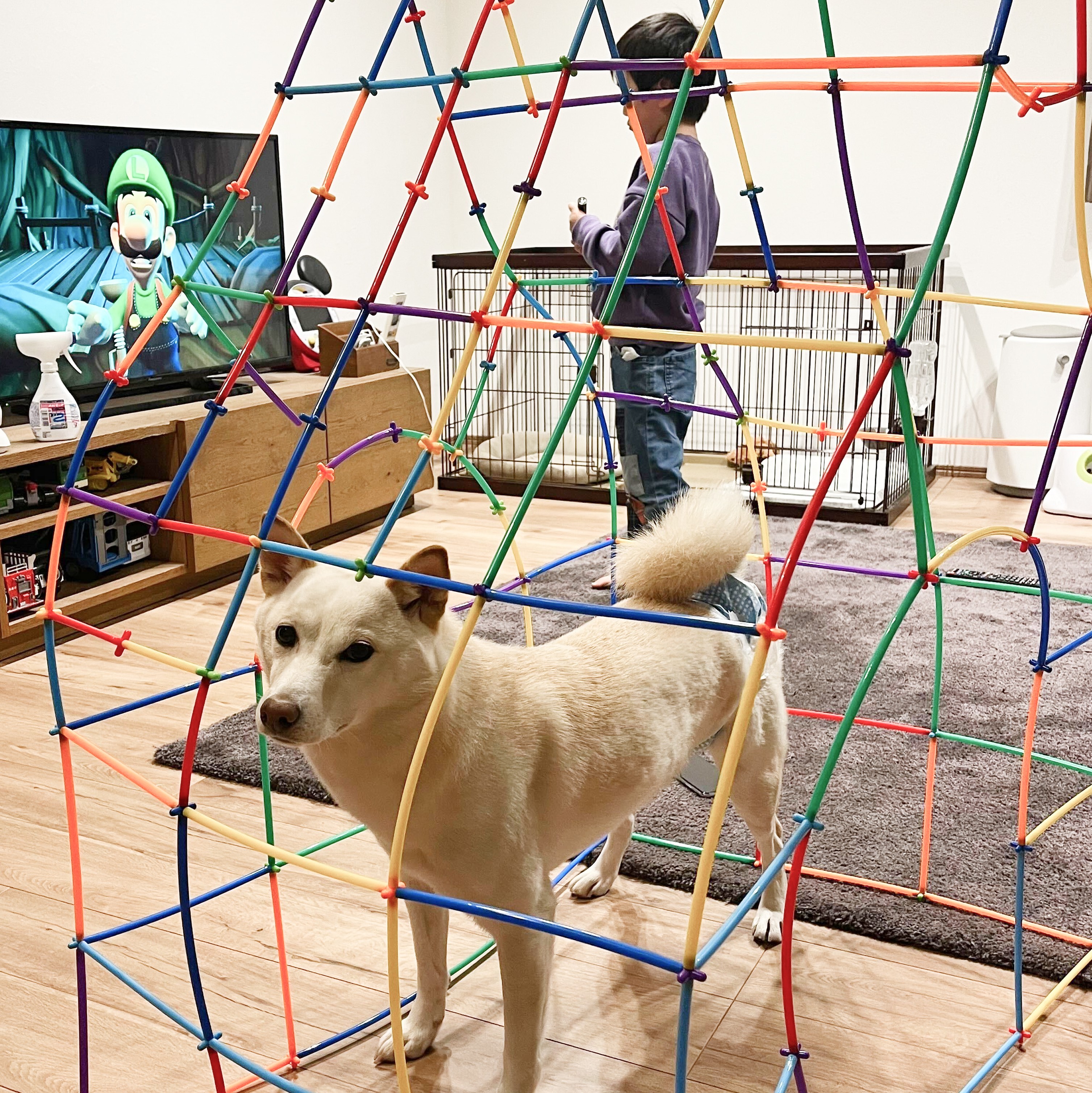 employee_dog_meeting_05_05.jpg