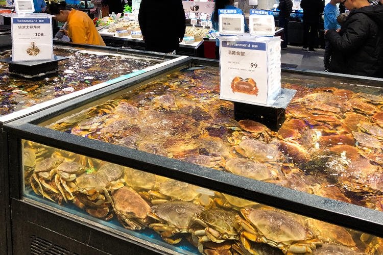 海鮮物などもあり、実店舗では値札を読み取ると様々な情報を見ることができます